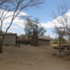 Masai-village